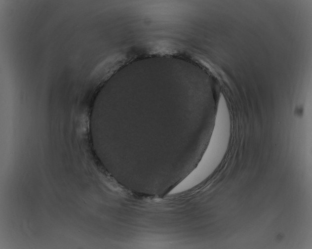 X0000090860517200708241901