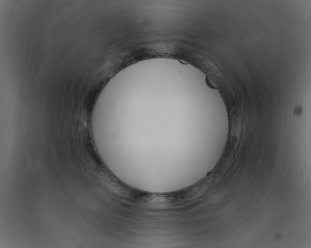 X0000090860518200708241901