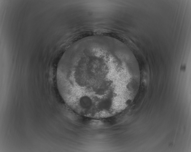 X0000090860519200708241901