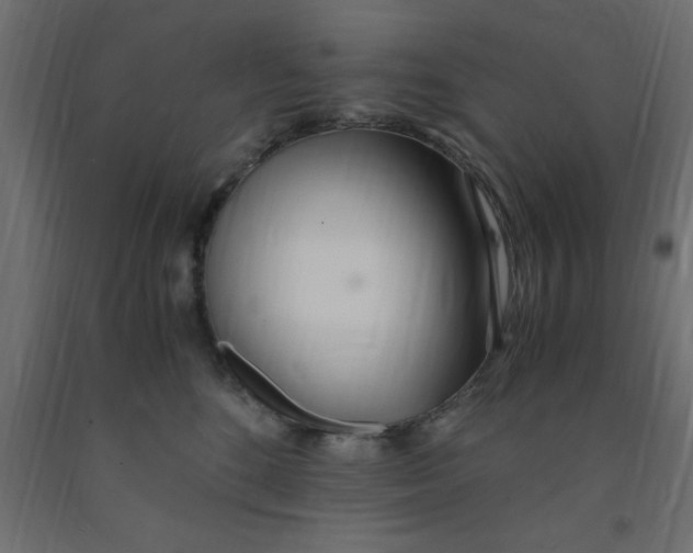 X0000090860520200708241901