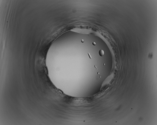 X0000090860521200708241901