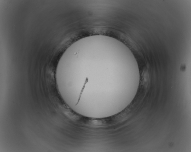 X0000090860522200708241901