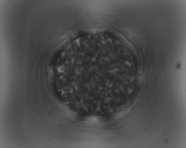 X0000090860523200708241901