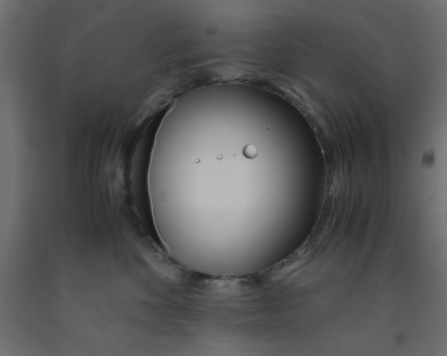 X0000090860524200708241901