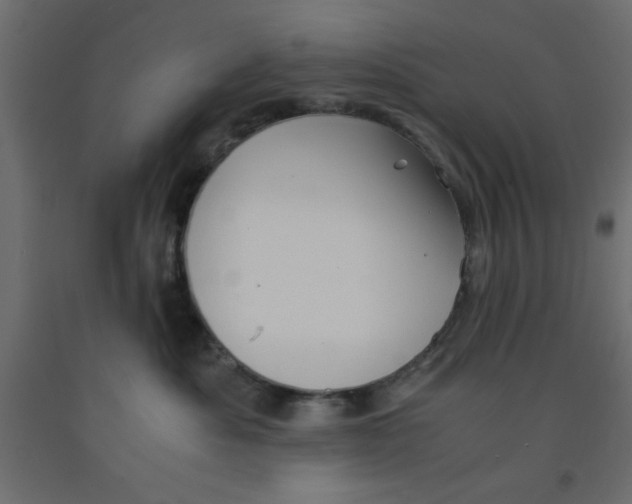 X0000090860525200708241901