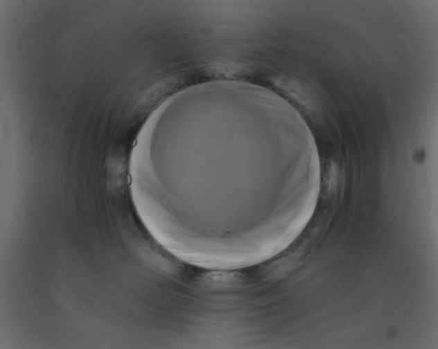 X0000090860526200708241901