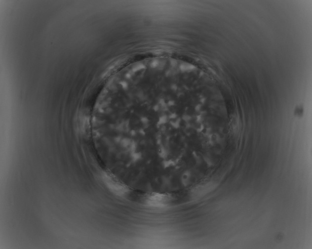 X0000090860527200708241901