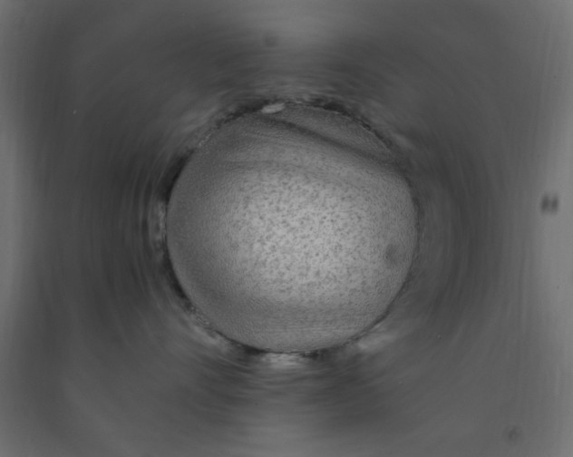 X0000090860528200708241901