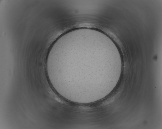 X0000090860529200708241900