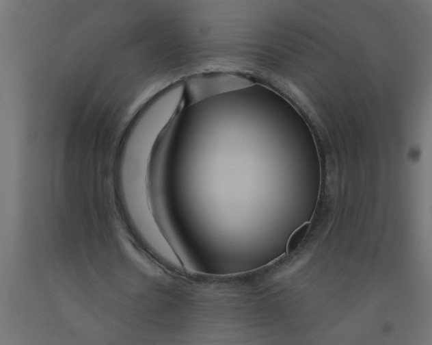 X0000090860530200708241900