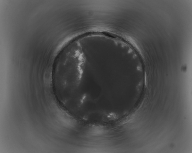 X0000090860531200708241900