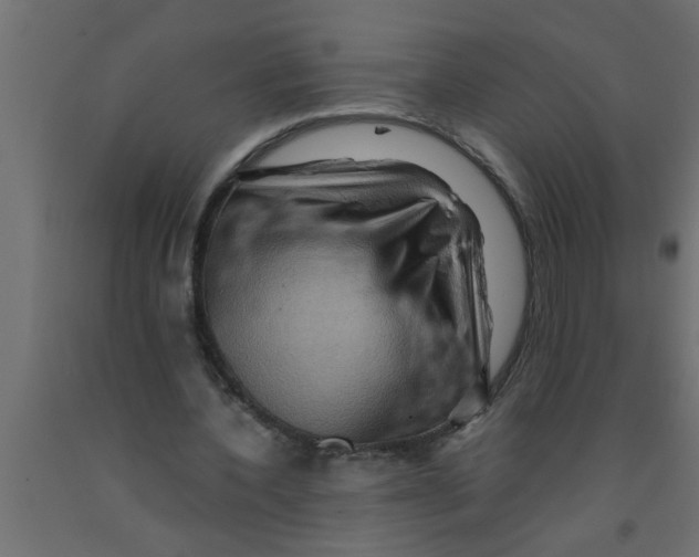 X0000090860532200708241900