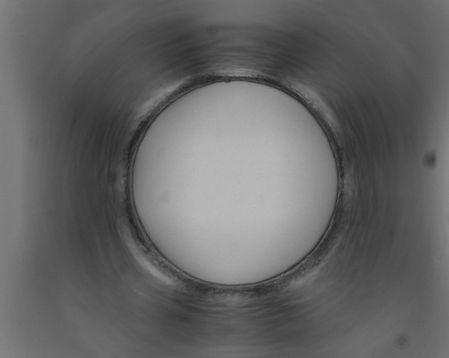 X0000090860533200708241900