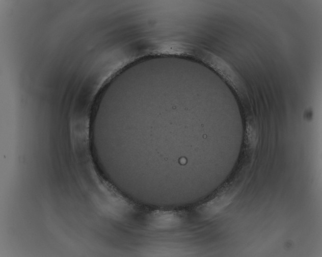 X0000090860534200708241900