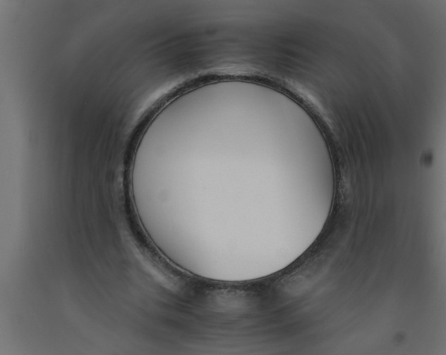 X0000090860535200708241900