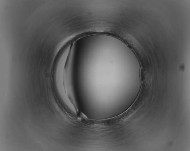 X0000090860536200708241900