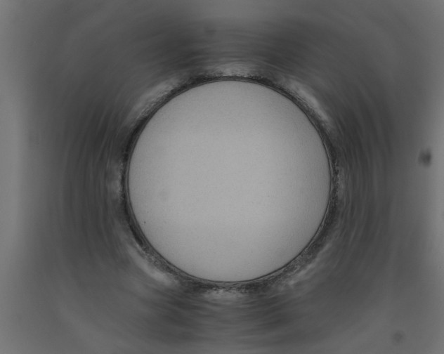 X0000090860537200708241900