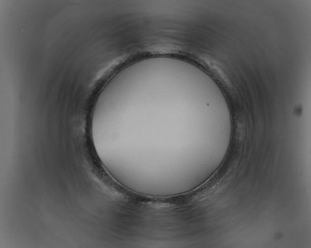 X0000090860539200708241900