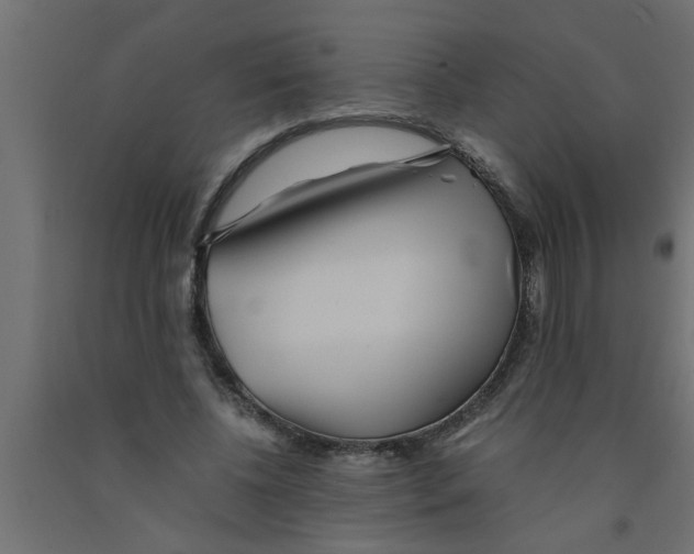 X0000090860540200708241901