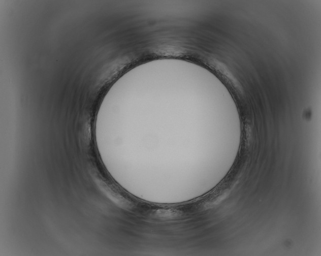 X0000090860541200708241901