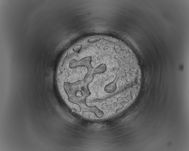 X0000090860542200708241901