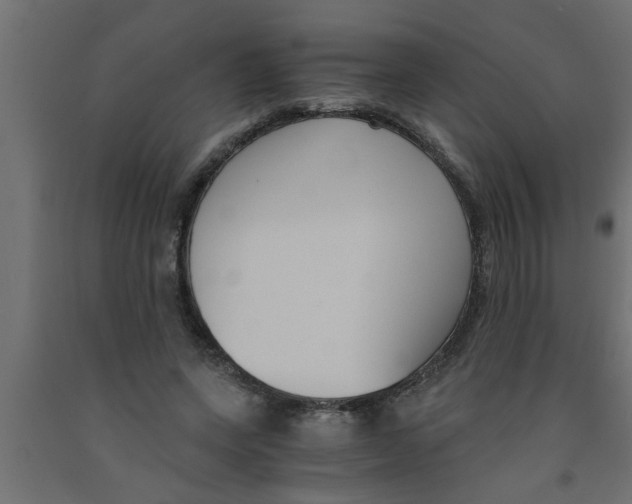 X0000090860543200708241901