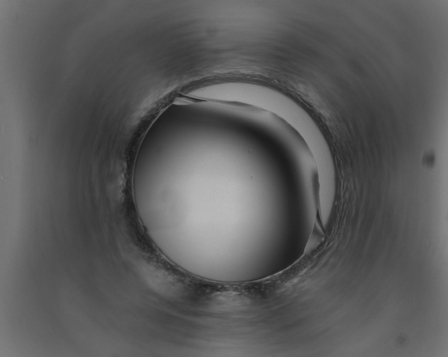 X0000090860544200708241901