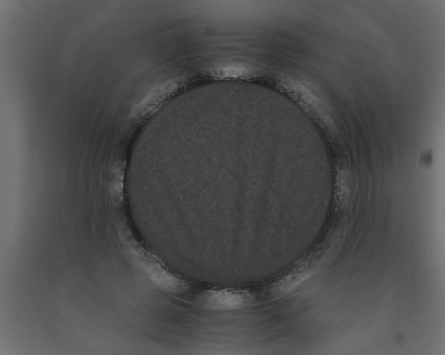 X0000090860545200708241901