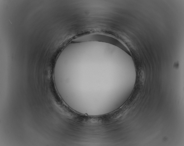 X0000090860546200708241901