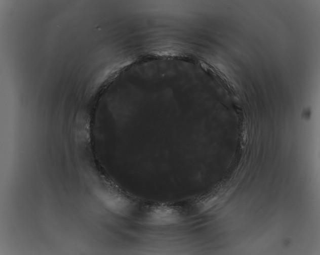 X0000090860547200708241901