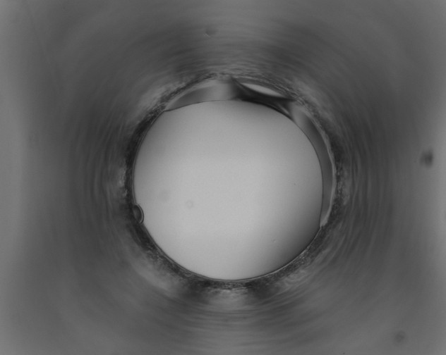 X0000090860548200708241901