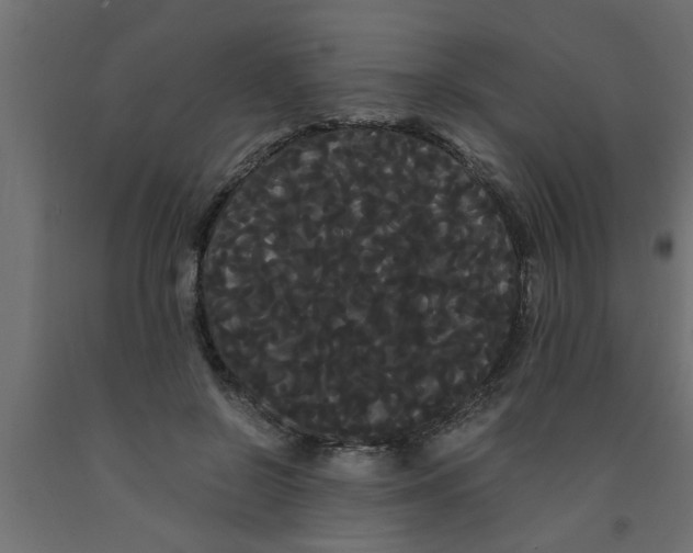 X0000090860550200708241901