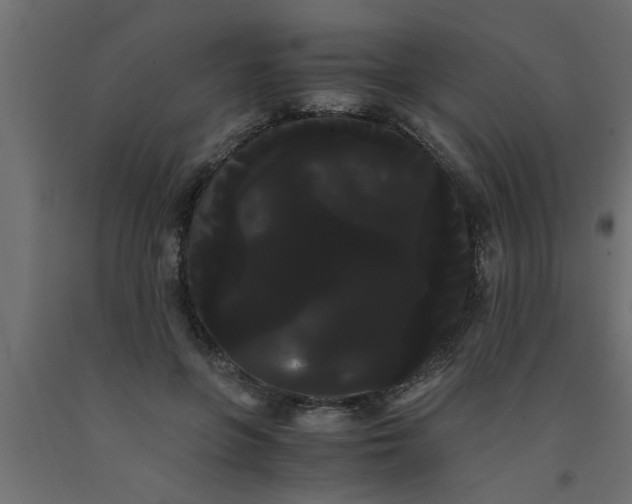 X0000090860551200708241901