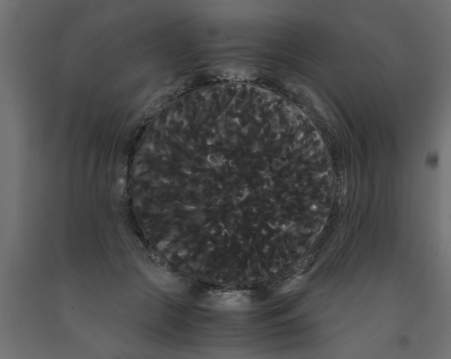 X0000090860553200708241901