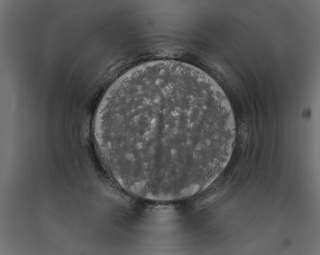 X0000090860554200708241901