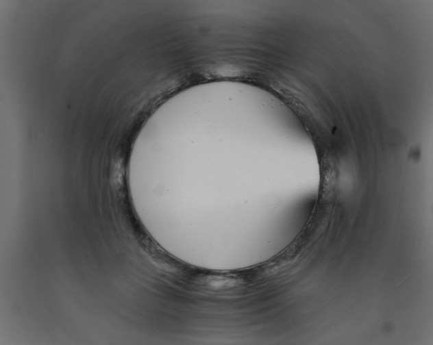 X0000090860555200708241901