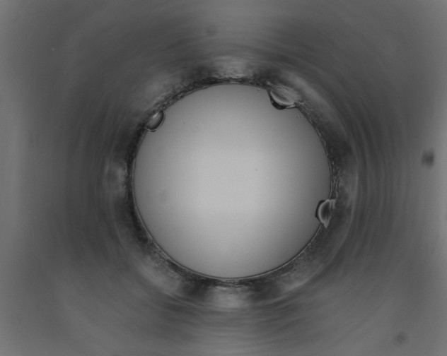 X0000090860556200708241901