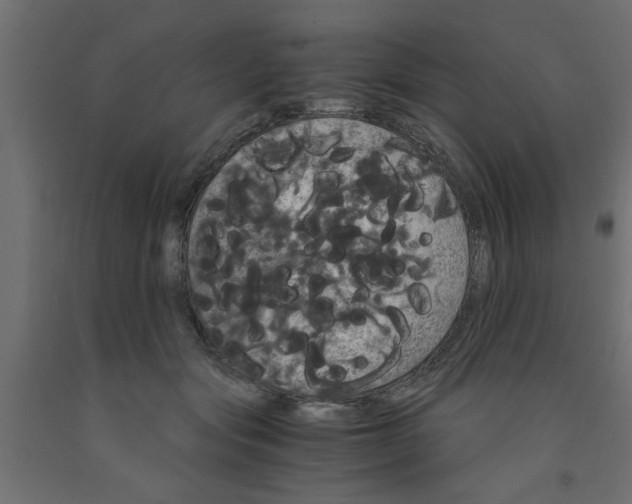 X0000090860557200708241901