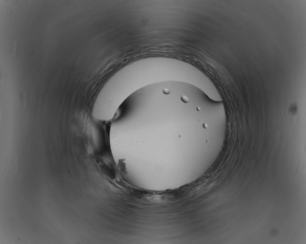 X0000090860558200708241901