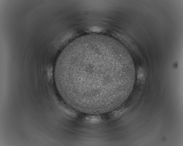 X0000090860559200708241901