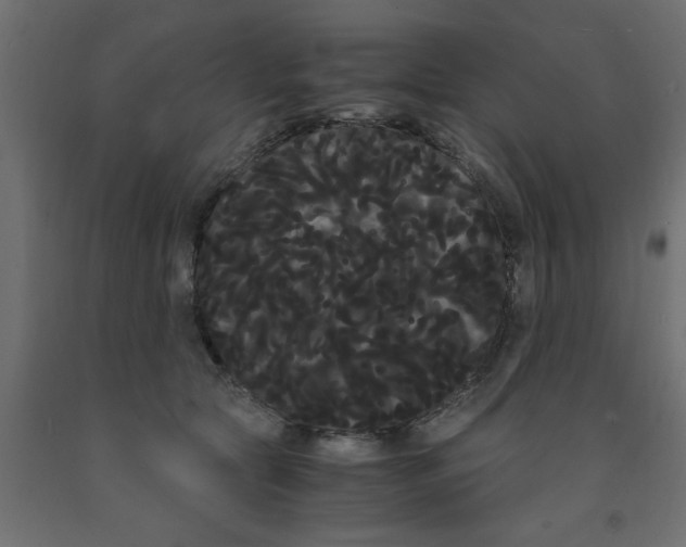 X0000090860561200708241901