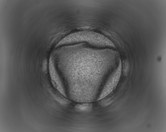 X0000090860563200708241901