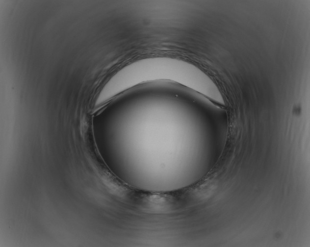 X0000090860566200708241901