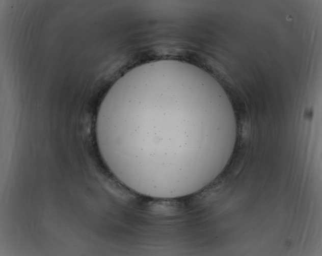 X0000090860567200708241901