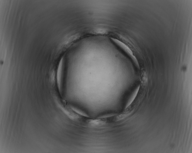 X0000090860568200708241901