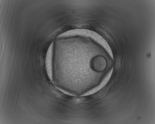 X0000090860569200708241901