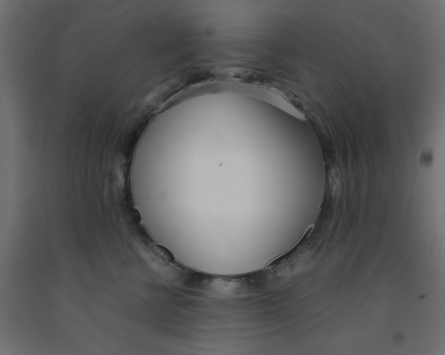 X0000090860570200708241901