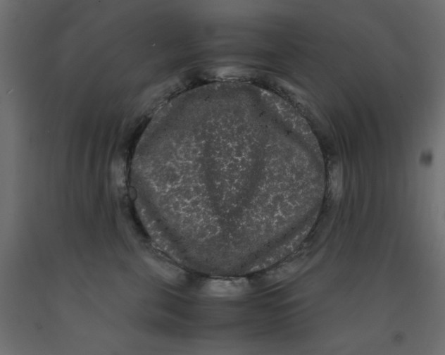 X0000090860571200708241901