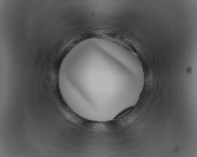 X0000090860572200708241901