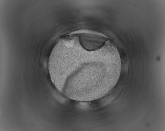 X0000090860573200708241901